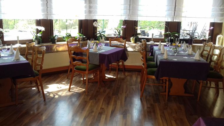 Ein gemütliches Restaurant mit Tischen und Stühlen. Die Fenster sind mit Pflanzen dekoriert und lassen viel Tageslicht herein.