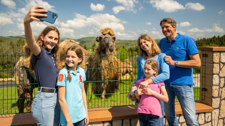 Eine Familie macht ein Selfie vor zwei Kamelen. Der Himmel ist blau und es ist sonnig.