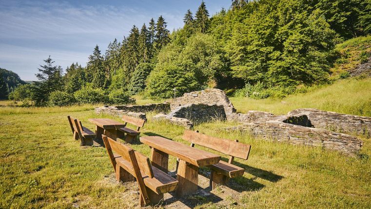 Ein schöner Picknickplatz mit Holztischen und Bänken in der Natur. Die Umgebung ist grün und bewaldet, ideal für Ruhe und Entspannung.