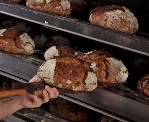 Ein Bäcker entnimmt frisch gebackenes Brot aus dem Ofen. Die Brote haben eine knusprige Kruste und sind auf Regalen angeordnet.