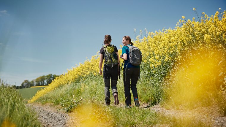 Zwei Wanderer auf dem Steinbach Rundweg Masburg. Umgeben von blühenden Rapsfeldern.