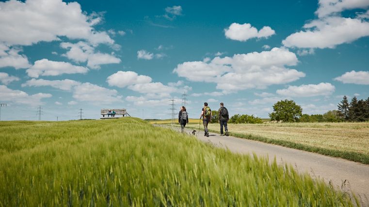 Eine Wandergruppe läuft auf einer geteerten Straße in Richtung der XXL-Bank in Möntenich.