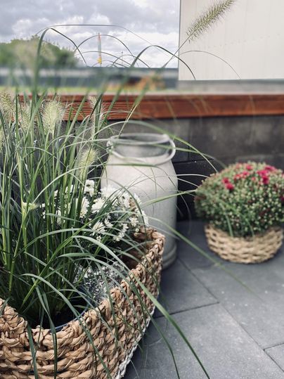 Ein hübscher Außenbereich mit verschiedenen Pflanzen in Korbwaren. Ein Milchkrug ergänzt die gemütliche Atmosphäre.