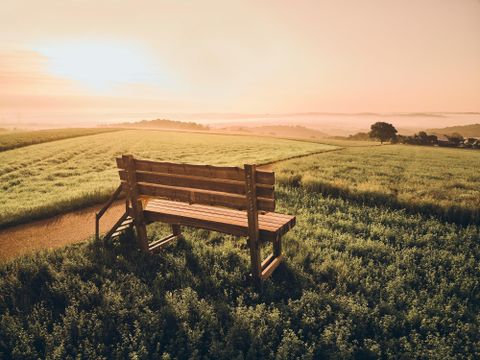 Eine Holzbank steht auf einem Feld mit grünen Pflanzen. Im Hintergrund ist ein sanfter Sonnenaufgang über der Landschaft zu sehen.