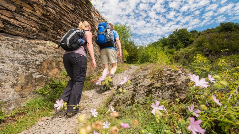 Zwei Wanderer auf einem schmalen Pfad entlang einer Steinmauer in blühender Natur.