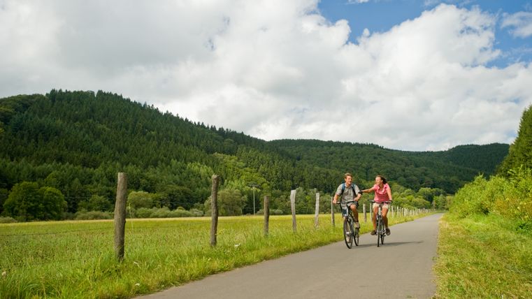 Zwei Radfahrer fahren auf einer aspaltierten Straße. Rechts und links im Bild grüne Wiesen und Sträucher.