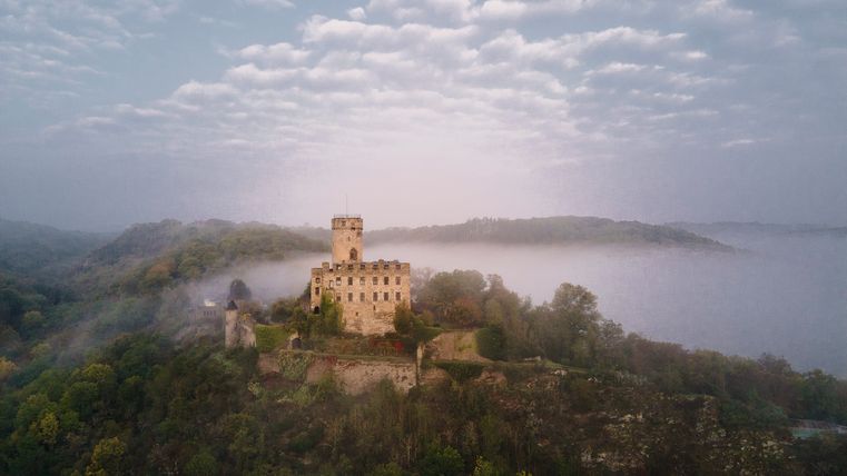 Die Burg Pyrmont auf einem bewaldeten, grünen Hügel. Die Burg ist im Hintergrund von Nebel umgeben.