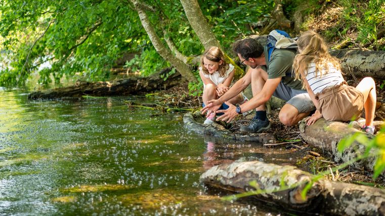 Ein Vater spielt am Ufer mit seinen zwei Töchtern. Sie sind von Bäumen umgeben und haben Spaß am Wasser.
