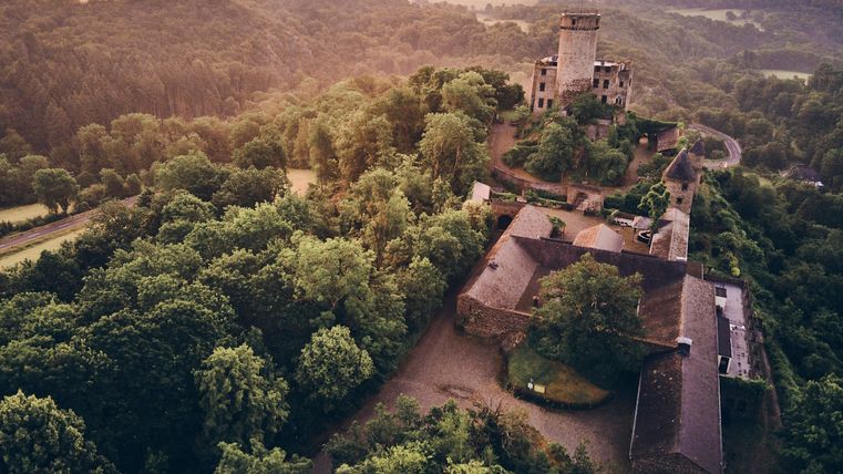 Luftaufnahme einer Burg die von Wald umgeben ist.  
