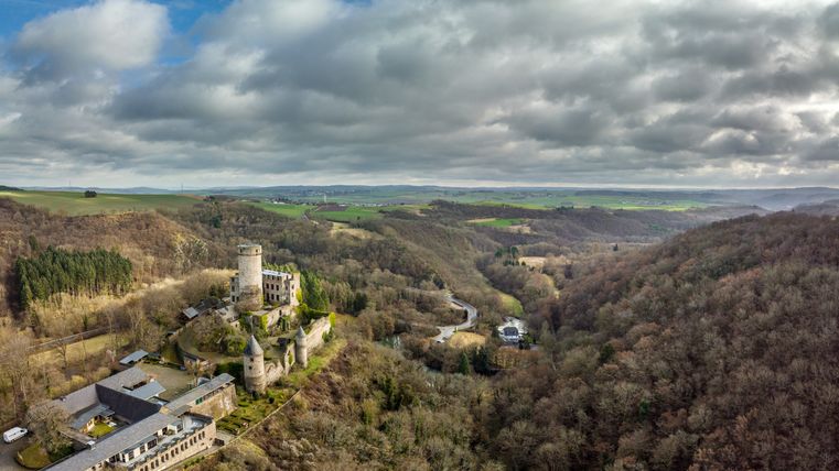 Luftaufnahme der Burg Pyrmont in der Eifel, umgeben von bewaldeten Hügeln und einer weiten Landschaft unter einem bewölkten Himmel.