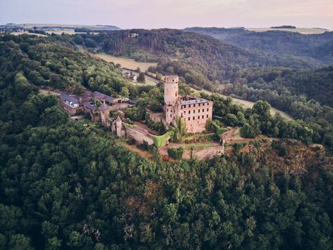Luftaufnahme einer Burg auf einem bewaldeten Hügel. Im Hintergrund sanfte Hügel und ein pastellfarbener Himmel.