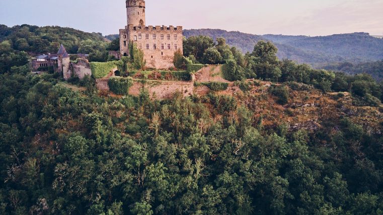 Eine mittelalterliche Burg auf einem bewaldeten Hügel.