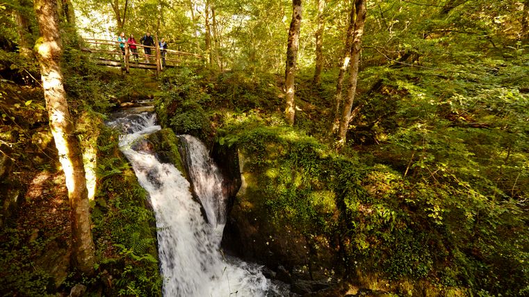 Wanderer stehen auf einer Holzbrücke über einem Wasserfall im grünen Wald.