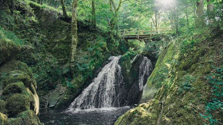 Ein kleiner Wasserfall fließt in einen klaren Teich, umgeben von üppigem Grün im Wald. Sonnenlicht strahlt durch die Bäume und schafft eine friedliche Atmosphäre.