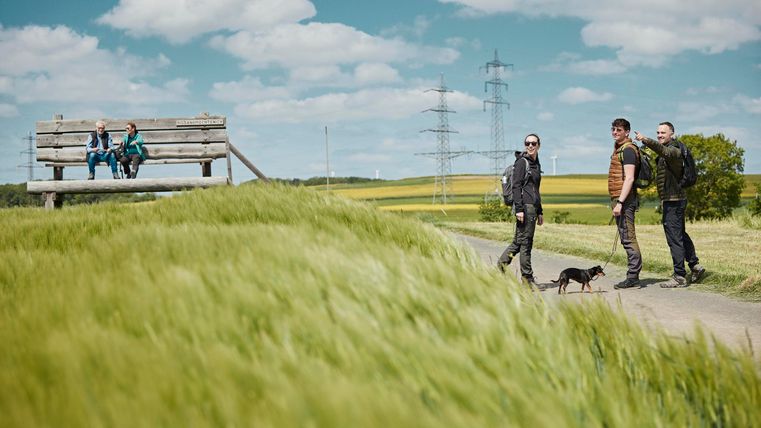 Eine Gruppe von vier Personen spaziert auf einem Weg durch ein grünes Feld. Im Hintergrund sitzt ein weiteres Paar auf einer Bank unter einem blauen Himmel.
