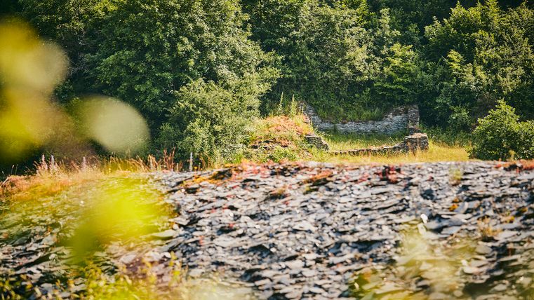 Blick auf Schiefer im Kaulenbacht. Im Hintergrund sind grüne Bäume zu erkennen.
