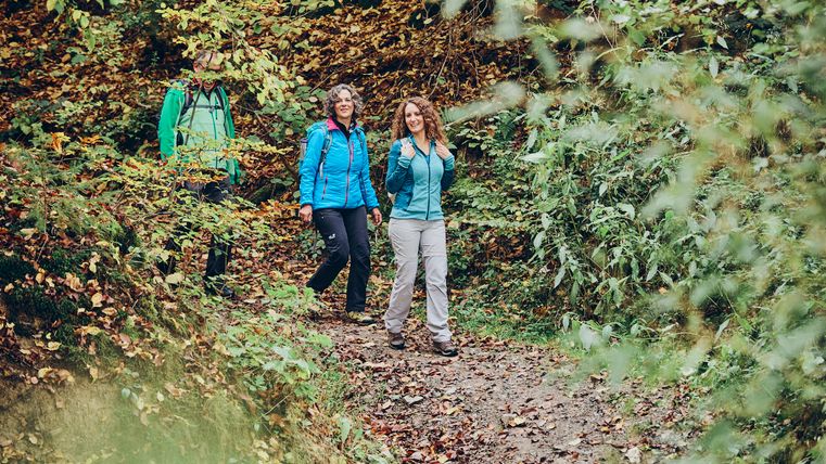 Drei Wanderer mit Rucksäcken gehen auf einem herbstlichen Waldweg zwischen dichtem grünen und buntem Laub.