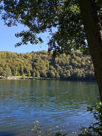 Ein ruhiger See, umgeben von Bäumen und sanften Hügeln. Das Wasser spiegelt die Farben der Umgebung wider.
