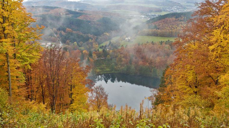 Eine malerische Landschaft mit bunten Herbstbäumen und einem ruhigen See. Der Himmel ist bewölkt und es sind Nebelschwaden sichtbar.