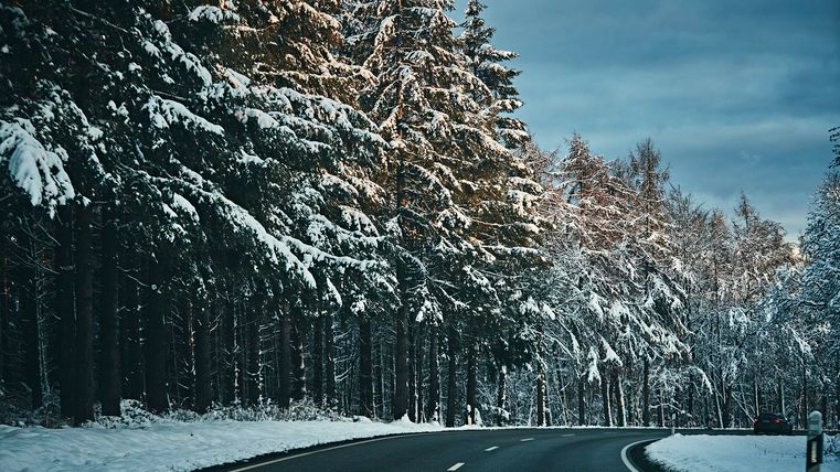 Eine kurvenreiche Straße entlang verschneiter Bäume. Die Winterlandschaft strahlt eine ruhige Atmosphäre aus.