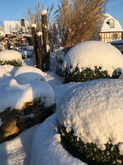 Een besneeuwd tuinlandschap met ronde struiken en met sneeuw bedekte stenen. Op de achtergrond zijn besneeuwde bomen en een traditioneel gebouw te zien.