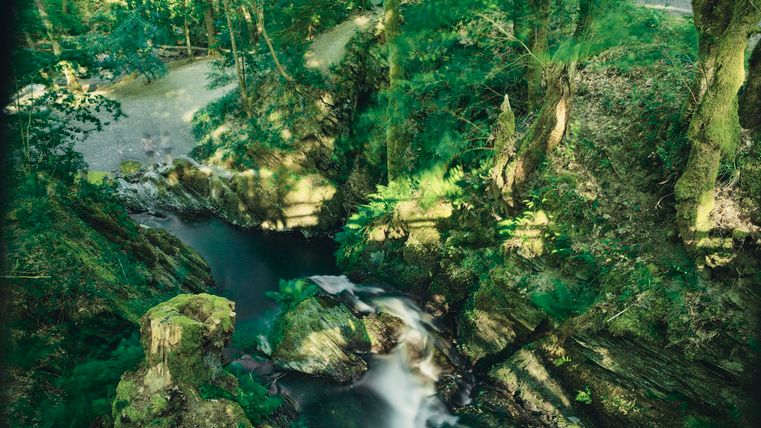 Ein malerischer Wasserfall fließt zwischen grünen Bäumen hindurch. Die ruhige Natur strahlt Frieden und Schönheit aus.