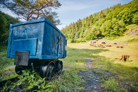 Ein alter blauer Förderwagen auf Gleisen vor einer Wiese mit Holzbänken, umgeben von Wald.