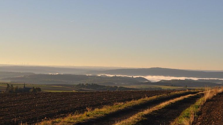 Eine weite Feldlandschaft mit sanften Hügeln und einem klaren Himmel. Nebel breitet sich über den Tälern aus, während die Sonne aufgeht.