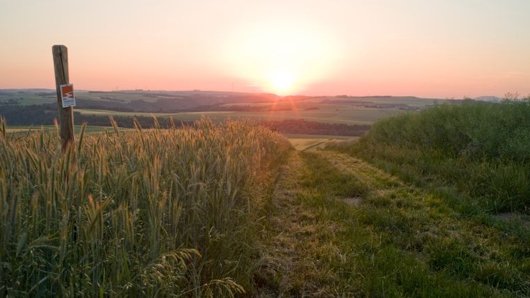 Sonnenuntergang über einem Feld bei Wierschem mit einem Holzpfosten im Vordergrund.