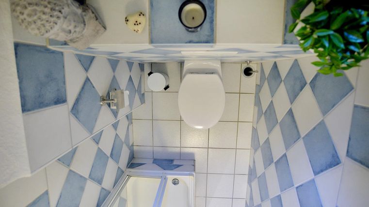 Een kleine badkamer met een toilet en een douche. De vloer is betegeld met blauwe en witte tegels in een dambordpatroon.