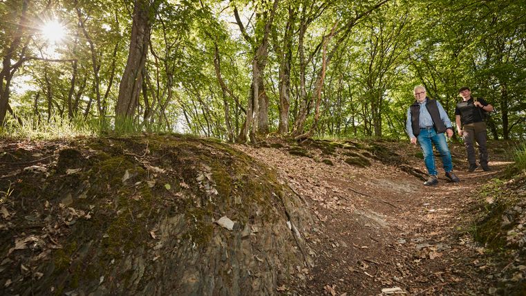 Twee personen lopen op een bospaadje, omringd door groene bomen. De zon schijnt door het bladerdak en zorgt voor een aangename sfeer.