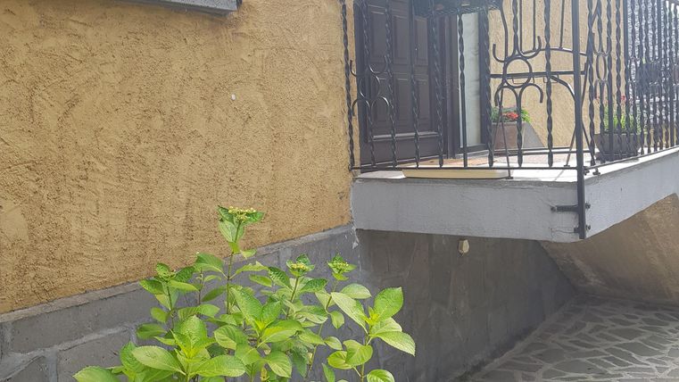 Eine schlichte Terrasse mit einem blühenden Topfpflanze. Die Wand ist in warmen Gelbtönen gehalten und bietet einen einladenden Eindruck.