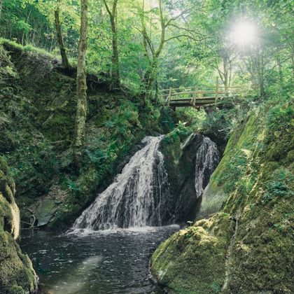 Ein Wasserfall stürzt rauschend ins Tal – darüber eine urige Holzbrücke, eingebettet im grünen Wald.