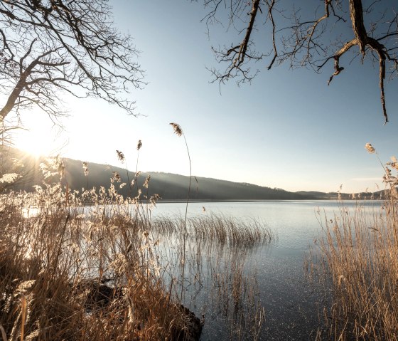 Gr&auml;ser am Laacher See Ufer, &copy; Eifel Tourismus GmbH, D. Ketz