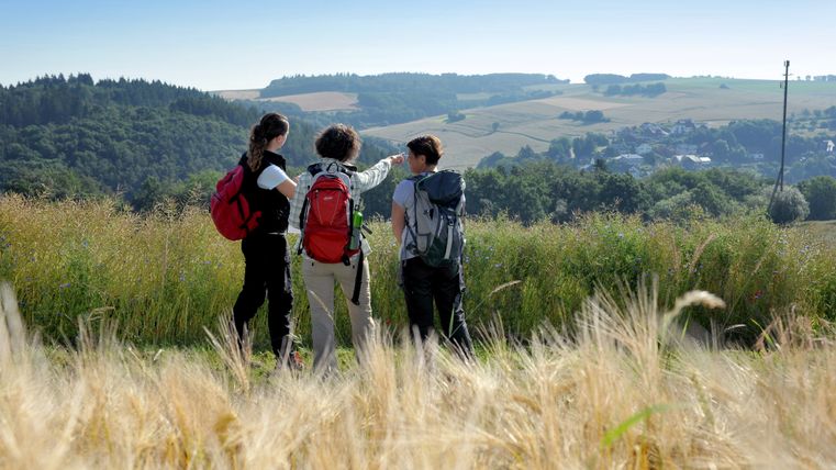 Drei Personen wandern entlang eines Feldweges und genießen die Aussicht ins Tal.