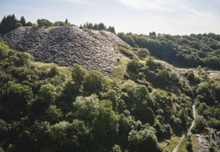Einzigartige Flora und Fauna im Kaulenbachtal, © Touristik-Büro Schieferland Kaisersesch, Marco Rothbrust