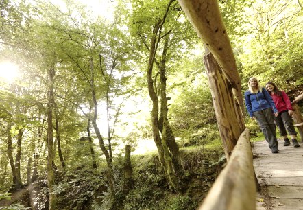 Wandern im Schieferland Kaisersesch - vielfältig und erlebnisreich, © Marco Rothbrust