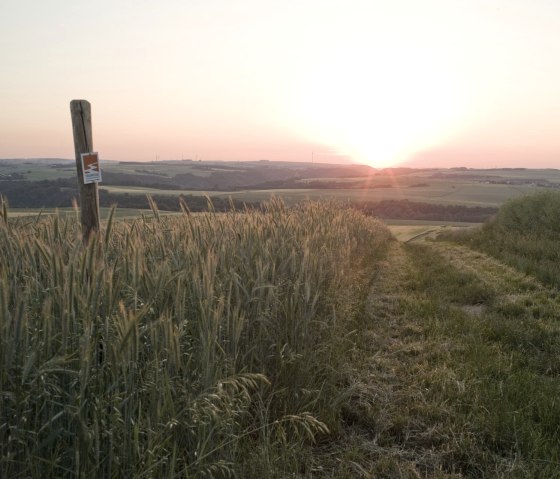 Sonnenuntergang über einem weiten Feld bei Wierschem. Ein Holzpfosten mit Schild steht links im Vordergrund, umgeben von hohen Gräsern., © Traumpfade/Kappest