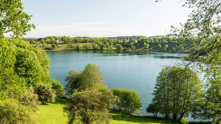 Ein ruhiger See umgeben von dichten Bäumen und grünen Wiesen. Der Himmel ist klar und der Tag scheint sonnig zu sein.
