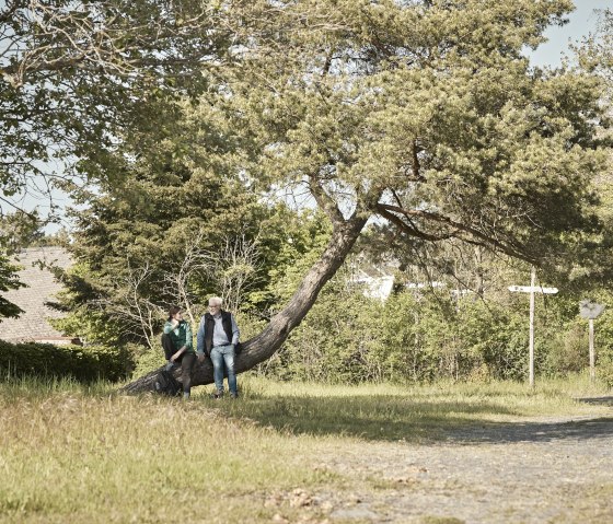 2295_Marco Rothbrust_832