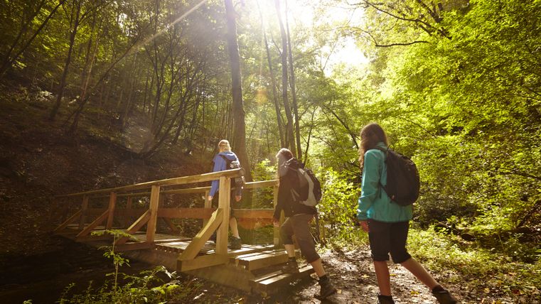 Drei Wanderer überqueren eine Holzbrücke.