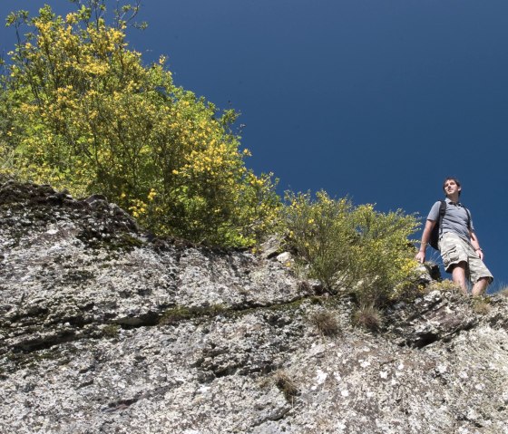 Le chemin des rochers sur le sentier des rochers de Pyrmont, &copy; Traumpfade/Kappest