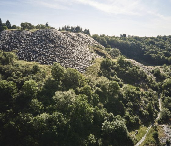 Einzigartige Flora und Fauna im Kaulenbachtal, © Touristik-Büro Schieferland Kaisersesch, Marco Rothbrust
