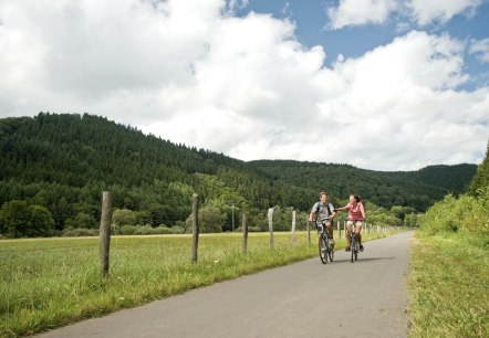 Radwege in der Eifel, © Eifel Tourismus GmbH / D. Ketz