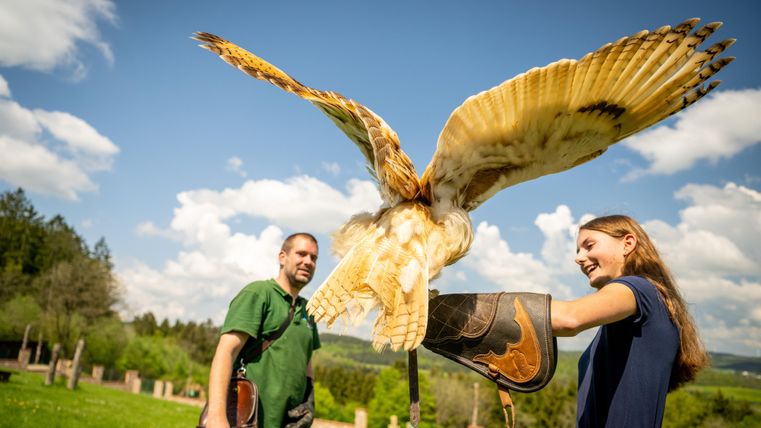 Ein Mann und eine Frau stehen im Freien, während ein Flugtier über ihnen fliegt. Die Sonne scheint, und im Hintergrund sind Bäume und ein blauer Himmel zu sehen.