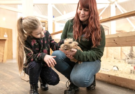 Tiere streicheln im Wild- und Erlebnispark Daun, © Eifel Tourismus GmbH, D. Ketz