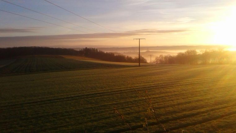 Un vaste paysage de prairie verte au lever du soleil. Le ciel est teinté de couleurs douces et il y a des lignes électriques dans l'image.