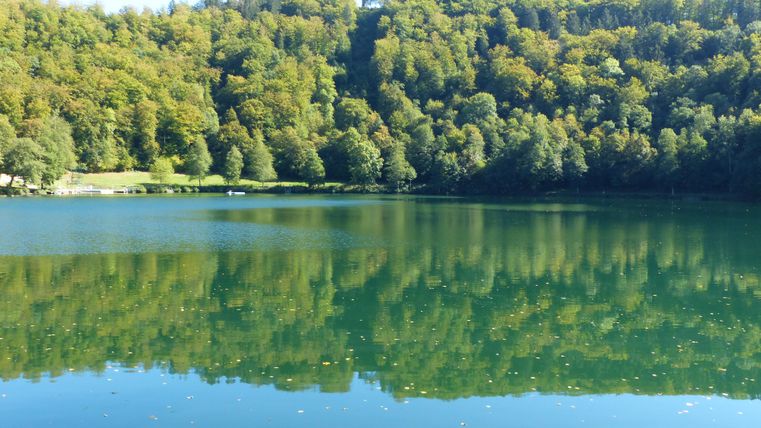 Ein ruhiger See umgeben von grünen Bäumen. Die Wasseroberfläche spiegelt die Natur wider.