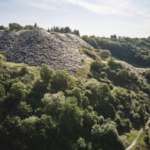 Einzigartige Flora und Fauna im Kaulenbachtal, © Touristik-Büro Schieferland Kaisersesch, Marco Rothbrust
