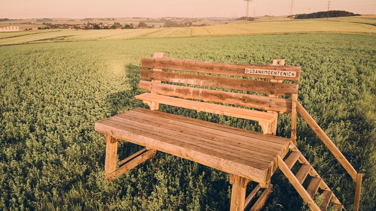 Eine große Holzbank steht auf einem Feld in der Natur. Im Hintergrund sind sanfte Hügel und Strommasten zu sehen.